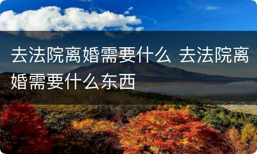 去法院离婚需要什么 去法院离婚需要什么东西