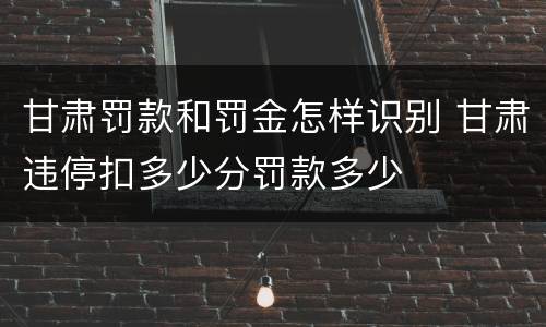 甘肃罚款和罚金怎样识别 甘肃违停扣多少分罚款多少