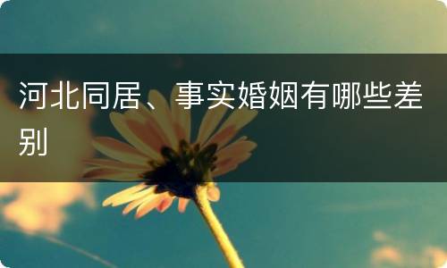 河北同居、事实婚姻有哪些差别