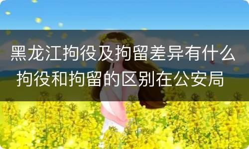 黑龙江拘役及拘留差异有什么 拘役和拘留的区别在公安局