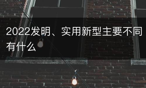 2022发明、实用新型主要不同有什么