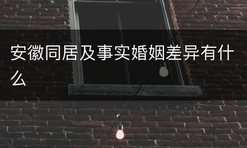 安徽同居及事实婚姻差异有什么