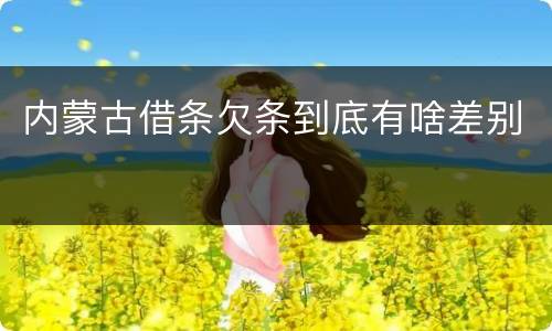 内蒙古借条欠条到底有啥差别