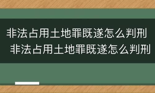非法占用土地罪既遂怎么判刑 非法占用土地罪既遂怎么判刑的