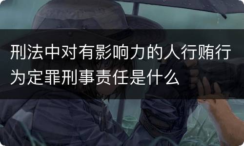 刑法中对有影响力的人行贿行为定罪刑事责任是什么