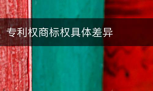 专利权商标权具体差异