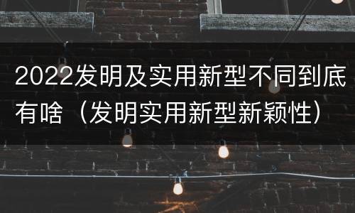 2022发明及实用新型不同到底有啥（发明实用新型新颖性）