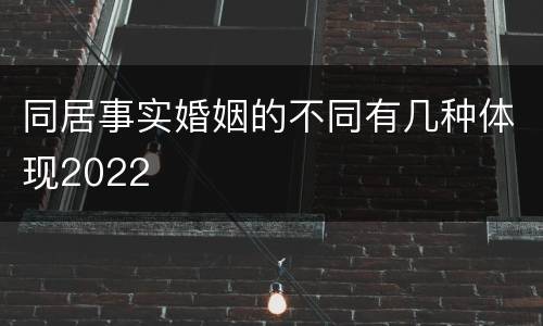 同居事实婚姻的不同有几种体现2022