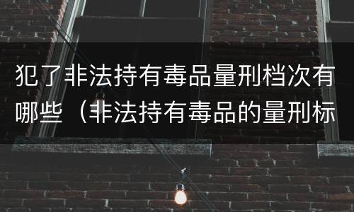 犯了非法持有毒品量刑档次有哪些（非法持有毒品的量刑标准）
