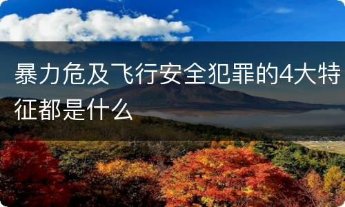 暴力危及飞行安全犯罪的4大特征都是什么