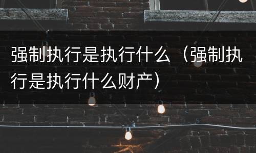 强制执行是执行什么（强制执行是执行什么财产）