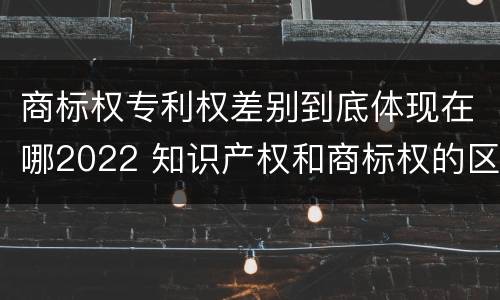 商标权专利权差别到底体现在哪2022 知识产权和商标权的区别