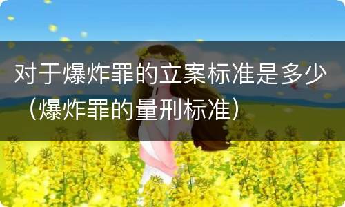 对于爆炸罪的立案标准是多少（爆炸罪的量刑标准）