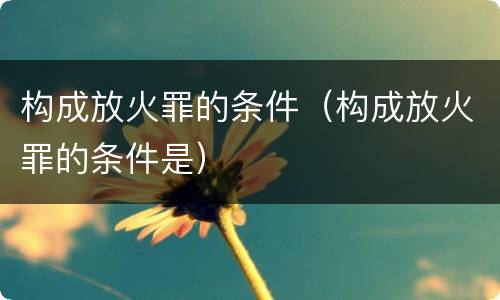 构成放火罪的条件（构成放火罪的条件是）
