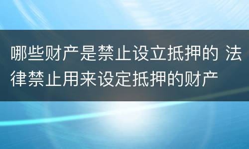 哪些财产是禁止设立抵押的 法律禁止用来设定抵押的财产