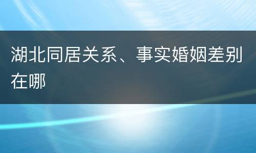 湖北同居关系、事实婚姻差别在哪