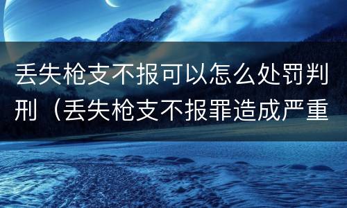 丢失枪支不报可以怎么处罚判刑（丢失枪支不报罪造成严重后果）