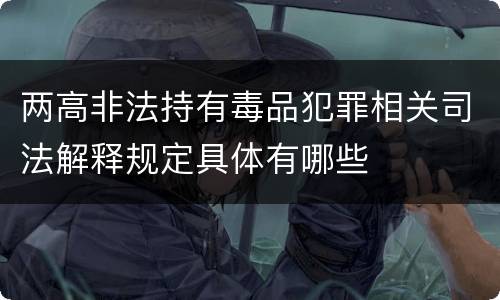 两高非法持有毒品犯罪相关司法解释规定具体有哪些