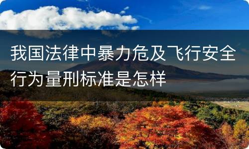 我国法律中暴力危及飞行安全行为量刑标准是怎样