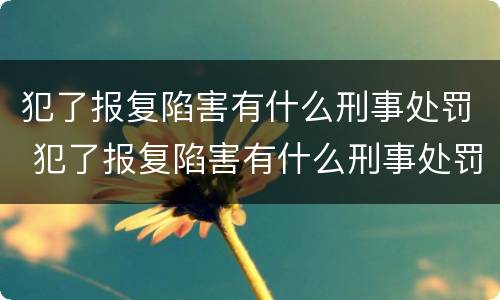 犯了报复陷害有什么刑事处罚 犯了报复陷害有什么刑事处罚吗