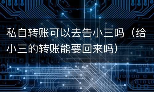 私自转账可以去告小三吗（给小三的转账能要回来吗）