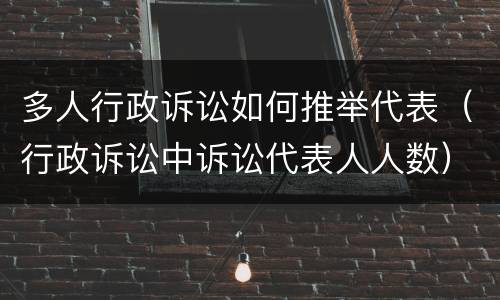 多人行政诉讼如何推举代表（行政诉讼中诉讼代表人人数）