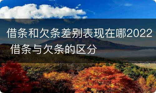 借条和欠条差别表现在哪2022 借条与欠条的区分