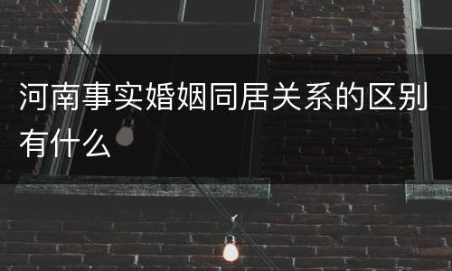 河南事实婚姻同居关系的区别有什么