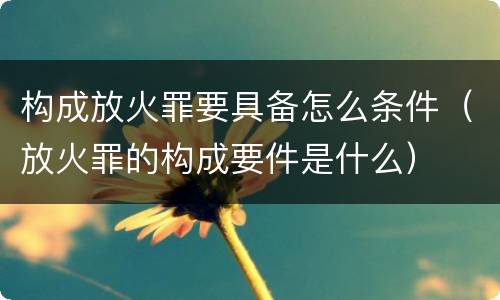 构成放火罪要具备怎么条件（放火罪的构成要件是什么）