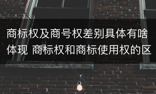 商标权及商号权差别具体有啥体现 商标权和商标使用权的区别