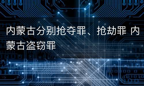 内蒙古分别抢夺罪、抢劫罪 内蒙古盗窃罪