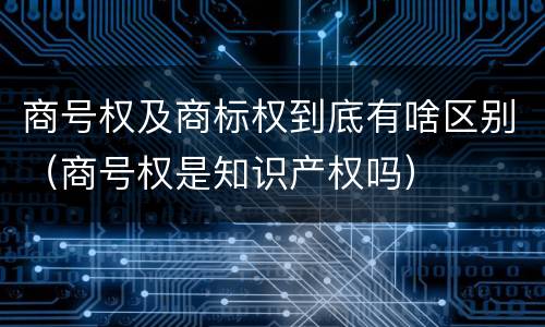 商号权及商标权到底有啥区别（商号权是知识产权吗）
