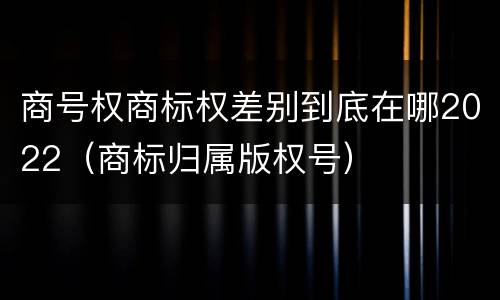 商号权商标权差别到底在哪2022（商标归属版权号）