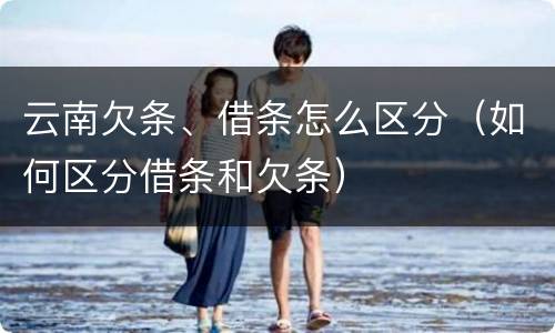 云南欠条、借条怎么区分（如何区分借条和欠条）