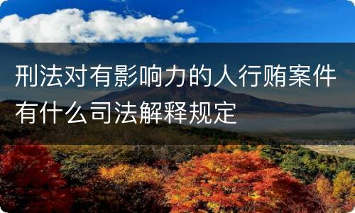 刑法对有影响力的人行贿案件有什么司法解释规定