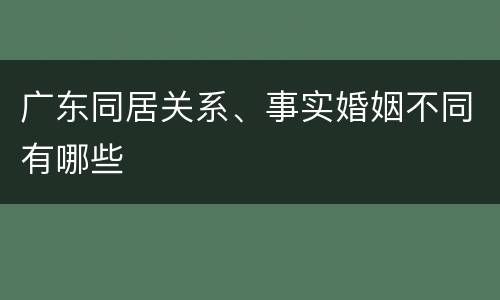 广东同居关系、事实婚姻不同有哪些