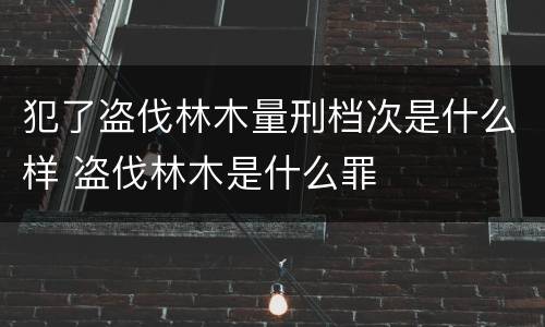 犯了盗伐林木量刑档次是什么样 盗伐林木是什么罪