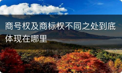 商号权及商标权不同之处到底体现在哪里
