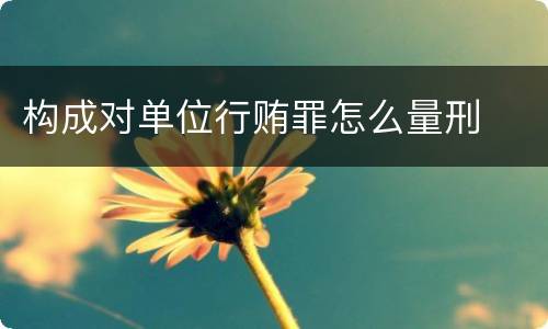 构成对单位行贿罪怎么量刑