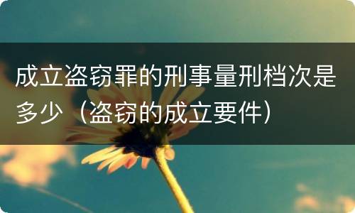 成立盗窃罪的刑事量刑档次是多少（盗窃的成立要件）
