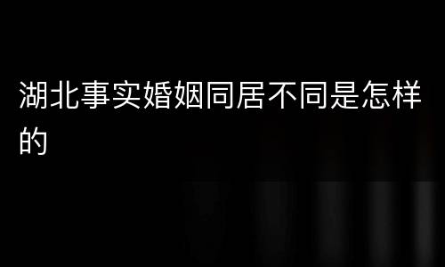 湖北事实婚姻同居不同是怎样的