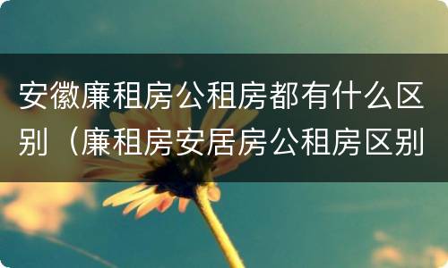 安徽廉租房公租房都有什么区别（廉租房安居房公租房区别）