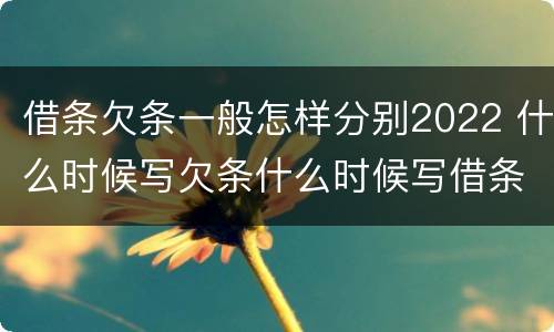 借条欠条一般怎样分别2022 什么时候写欠条什么时候写借条