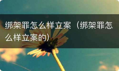 绑架罪怎么样立案（绑架罪怎么样立案的）