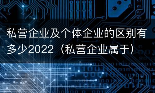 私营企业及个体企业的区别有多少2022（私营企业属于）