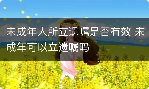 未成年人所立遗嘱是否有效 未成年可以立遗嘱吗