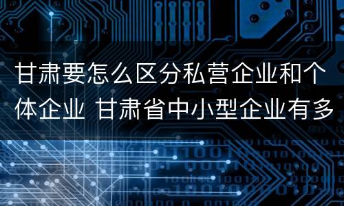 甘肃要怎么区分私营企业和个体企业 甘肃省中小型企业有多少