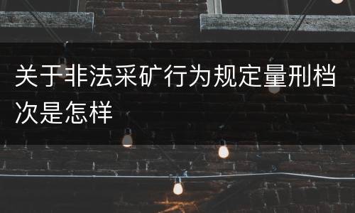 关于非法采矿行为规定量刑档次是怎样