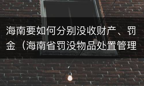 海南要如何分别没收财产、罚金（海南省罚没物品处置管理办法）