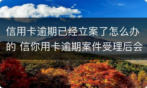 信用卡逾期已经立案了怎么办的 信你用卡逾期案件受理后会不会受到起诉书